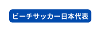 ビーチサッカー日本代表